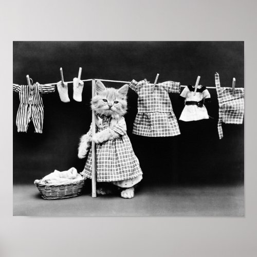 Cat Hanging Laundry On Clothesline Poster