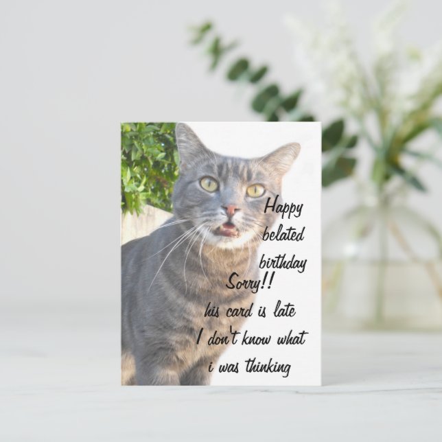 Cat, Happy belated birthdays_ Postcard | Zazzle cat-happy-belated-birthdays-postcard-zazzle