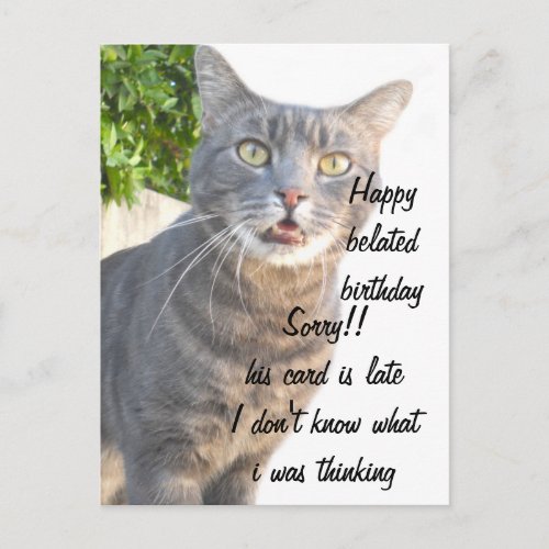 Cat Happy belated birthdays_ Postcard