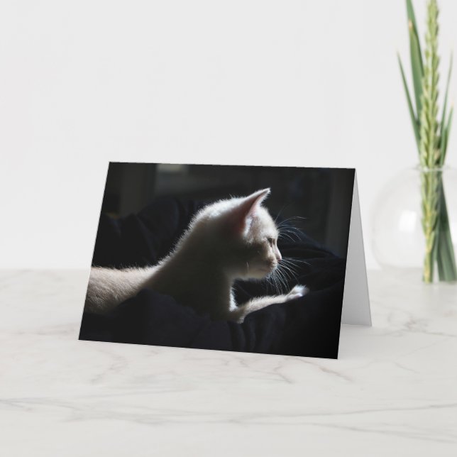 Cat Happy Birthday Card (Front)