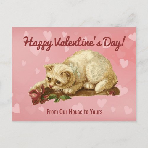 Cat Happy Valentines Day Post Card Postcard