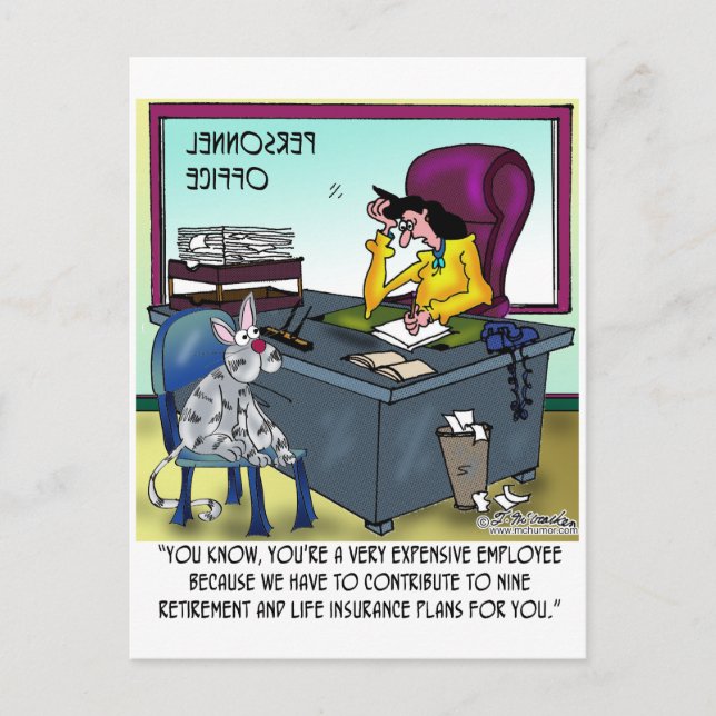 Cat Has 9 Life Insurance Plans Postcard (Front)
