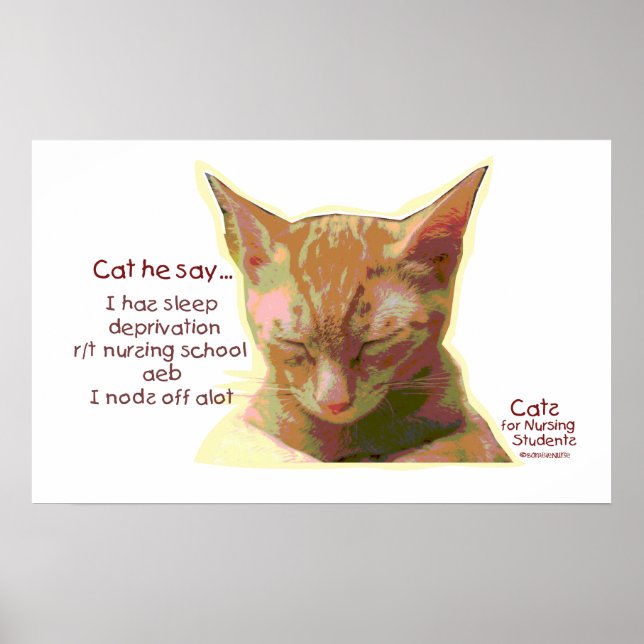Cat he Say - Nursing School Sleep Deprivation Poster (Front)