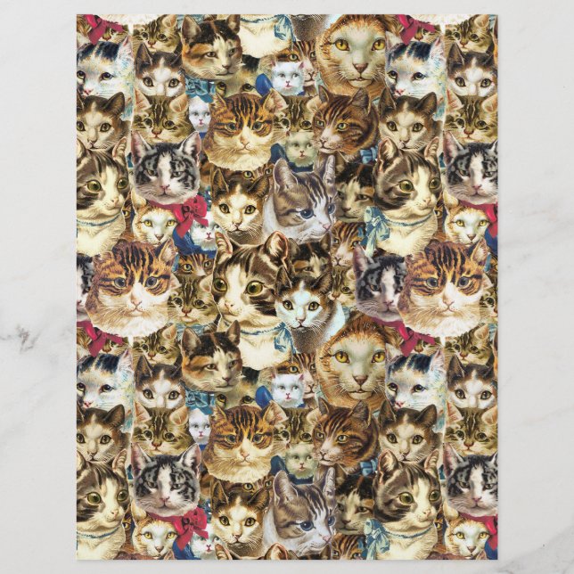 Cat heads 8.5x11 scrapbook paper, crazy cat lady (Front)