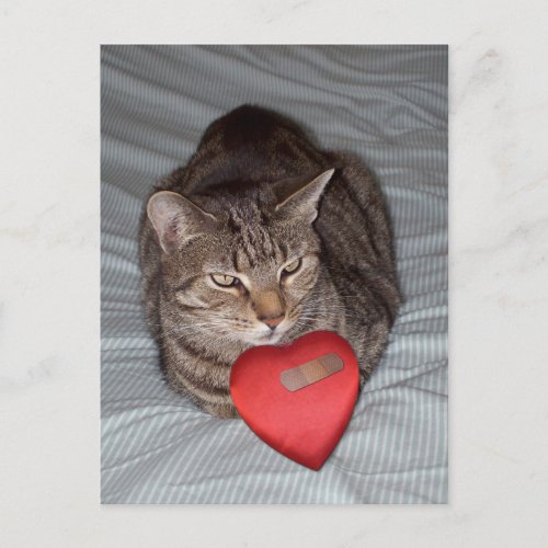 Cat Heart Bandaid Postcard