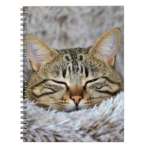 Cat hiding from winter  notebook