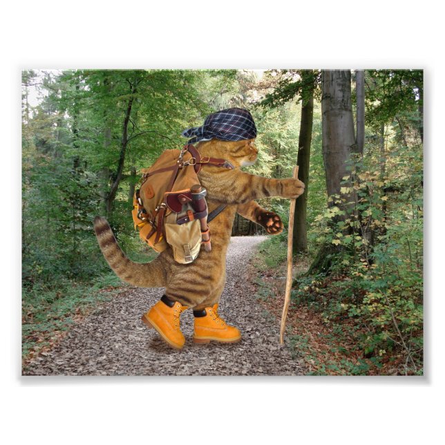 Cat hiker with backpack photo print (Front)