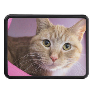 Cat Hitch Cover