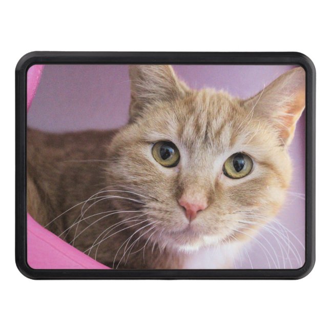 Cat Hitch Cover (Front)