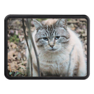Cat Hitch Cover