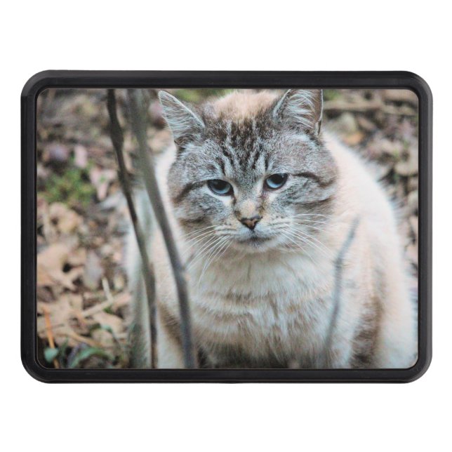 Cat Hitch Cover (Front)