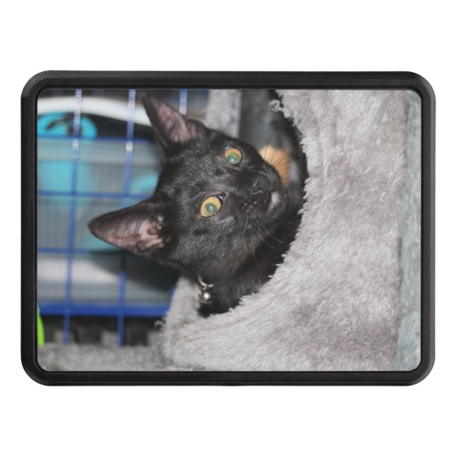 Cat Hitch Cover (Front)