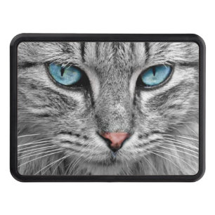 Cat Hitch Cover 2" Receiver