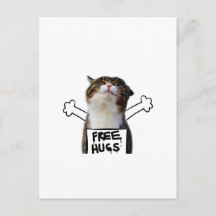 Cat Holding Free Hugs Sign Postcard