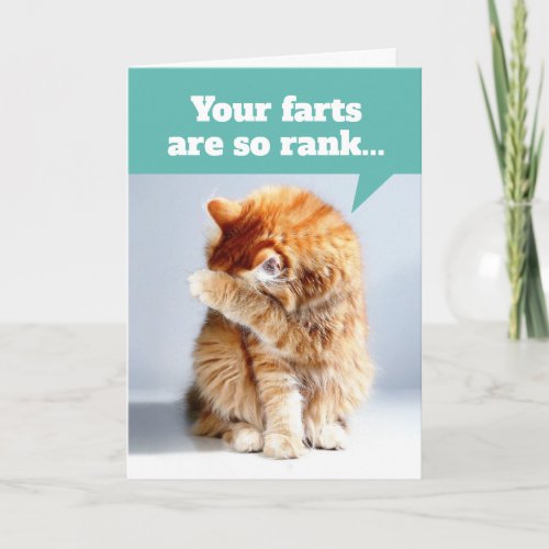 Cat Holding Nose Due To Smelly Farts Birthday Card