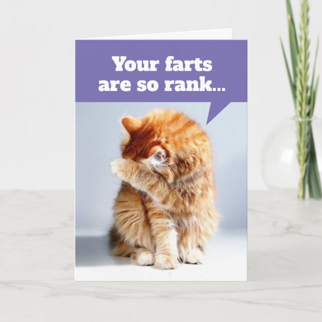 Cat Holding Nose Due To Smelly Farts Birthday Card (Front)