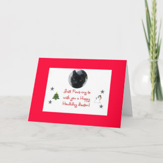 cat holiday card