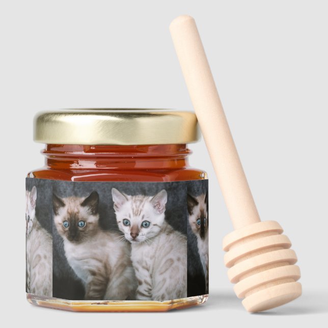 Cat Honey Jar Favors (Front)