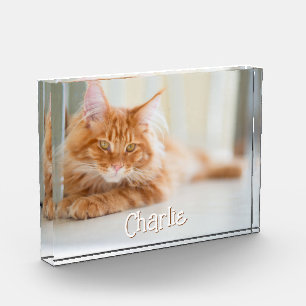 Cat Horizontal Photo Cute Font Name Block