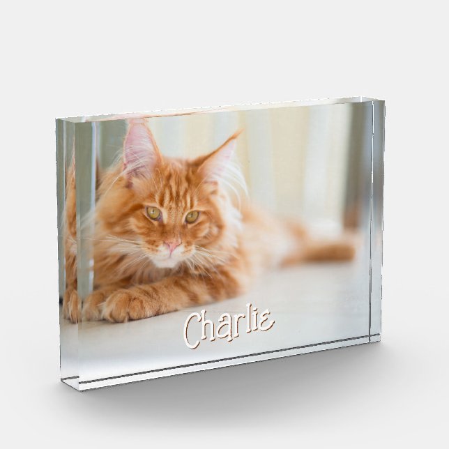Cat Horizontal Photo Cute Font Name Block (Left)