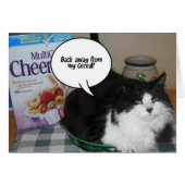 Cat Humor (Front Horizontal)