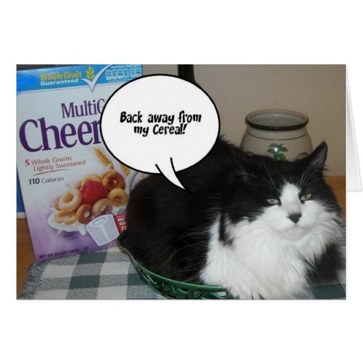 Cat Humor (Front Horizontal)