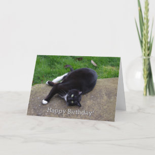 Cat Humor Birthday Card