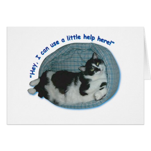 Cat Humor Cards (Front Horizontal)