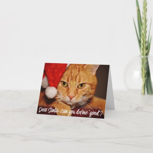 Cat Humor Dear Santa Define Good  Pet Lover Holiday Card