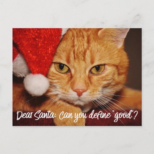 Cat Humor Dear Santa Define Good  Pet Lover Holiday Postcard
