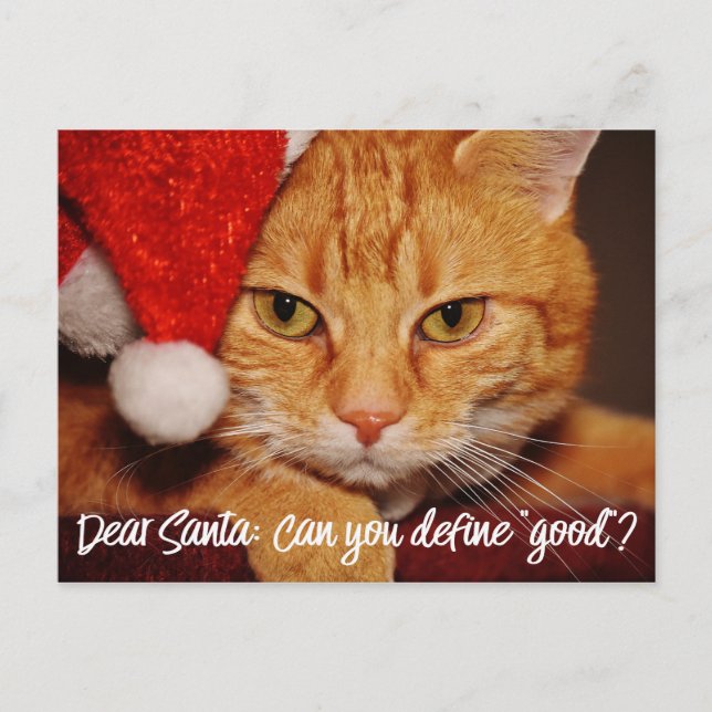 Cat Humor: Dear Santa Define Good | Pet Lover Holiday Postcard (Front)