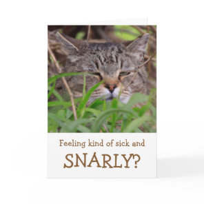Cat Humor Get Well Card
