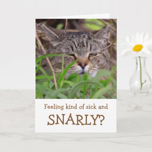 Cat Humor Get Well Card
