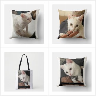 Cat Humor Gifts