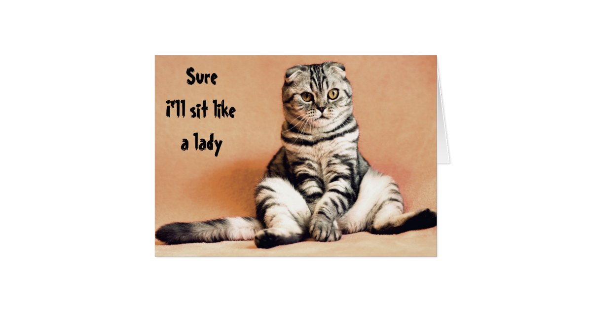 Cat Humor Sit Like A Lady Funny Zazzle Com