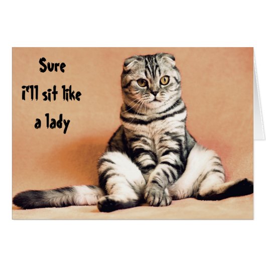 Cat Humor Sit Like a Lady Funny Cards (Front Horizontal)