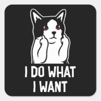 Cat I Do What I Want Funny