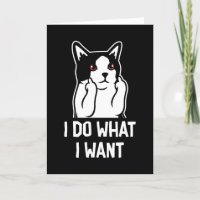 Cat I Do What I Want Funny