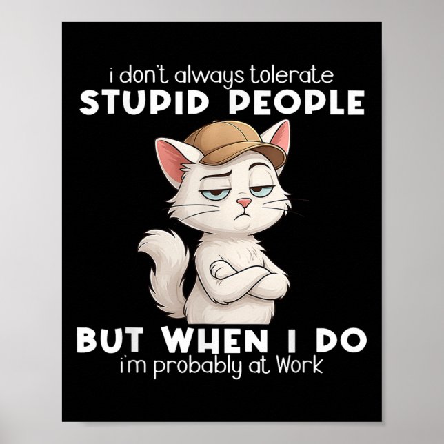 Cat I Dont Always Tolerate Stupid People  Poster (Front)