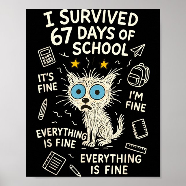 Cat I Survived 67 Days Of School Teachers Students Poster (Front)