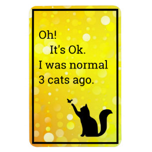 cat I was normal Magnet