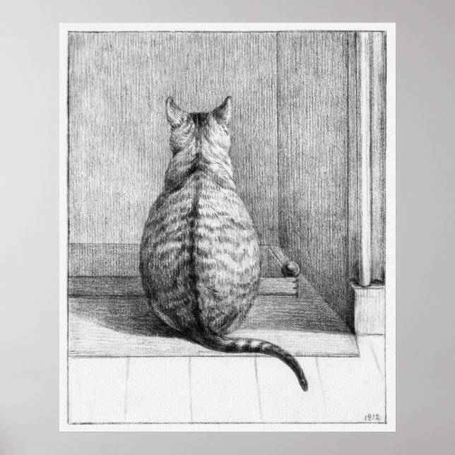 Cat illustration poster (Front)
