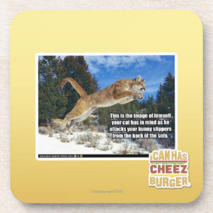 Cat image beverage coaster