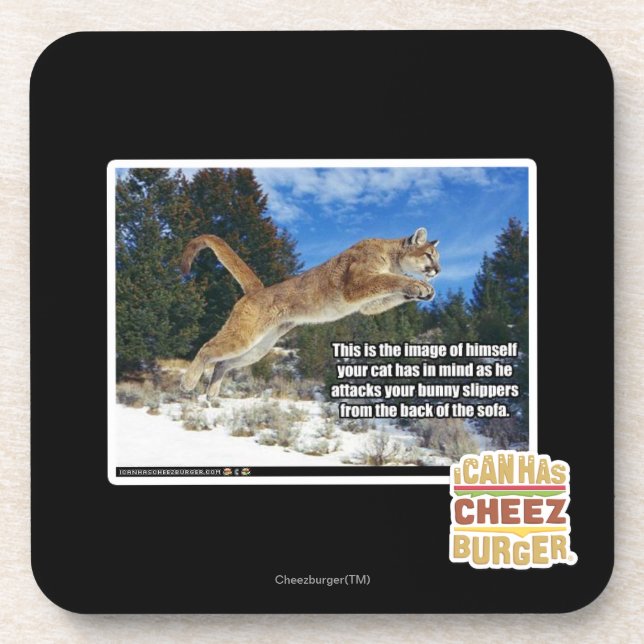 Cat image coaster (Front)
