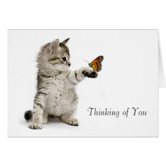 Cat image for get-well-card card