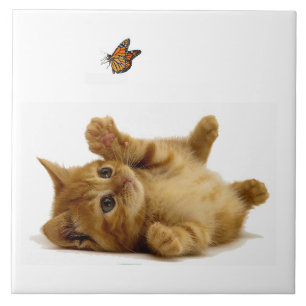 Cat image for Large (6" X 6") Ceramic Photo Tile