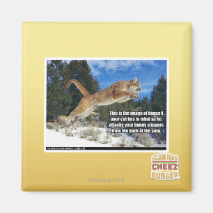 Cat image magnet