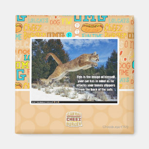 Cat image magnet