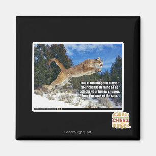 Cat image magnet