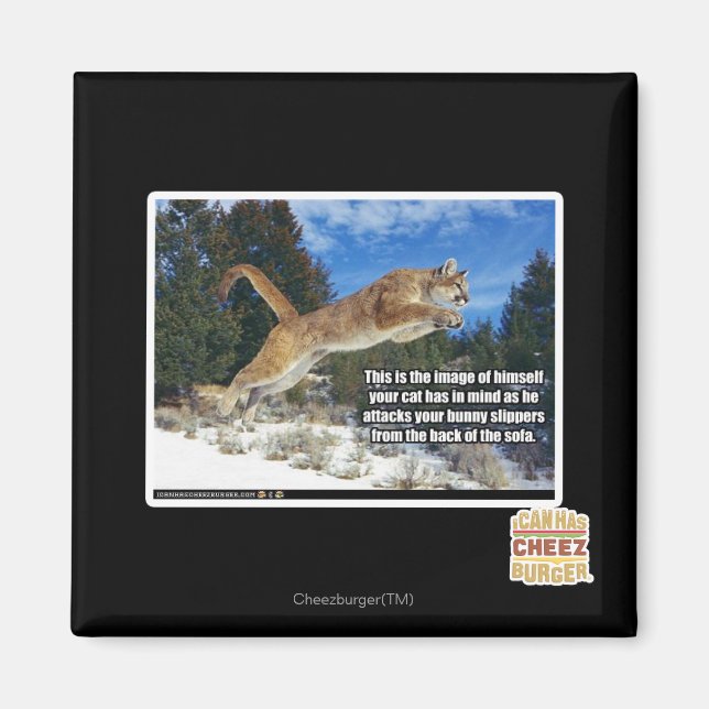 Cat image magnet (Front)